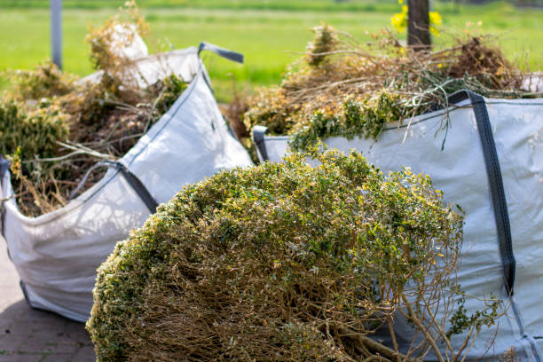Best Household Junk Removal  in Rocky Mount, VA